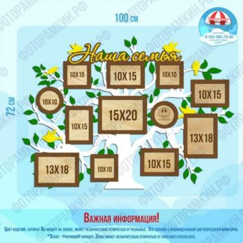 Семейные деревья 19