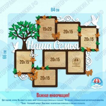 Семейные деревья 67