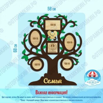 Семейные деревья 8