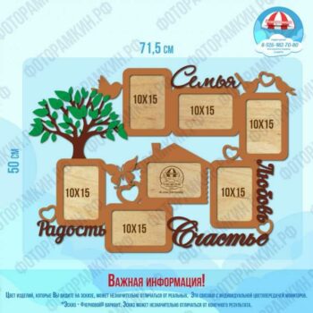 Семейные деревья 92