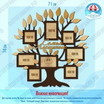 Семейные деревья Семья Алешиных