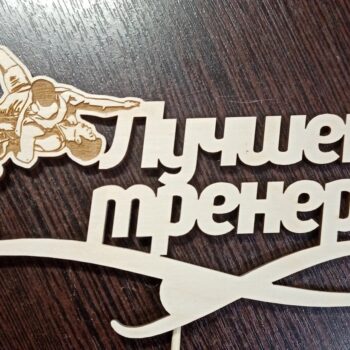 Топпер лучшему тренеру борьба
