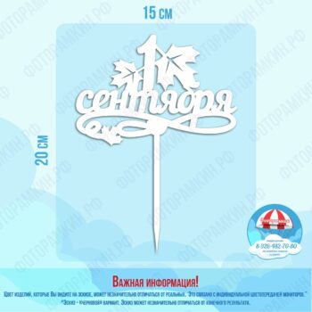 Топперы 1 сентября
