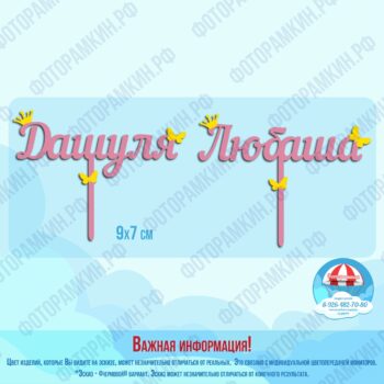 Топперы Дашуля Любаша