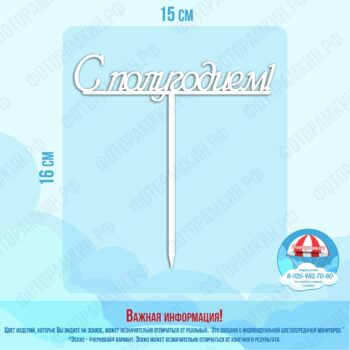 Топперы с полугодием